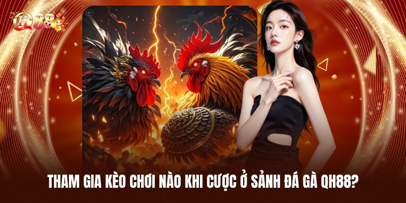 Đá Gà QH88 - Trải Nghiệm Cá Cược Chọi Kê Đỉnh Cao Nhất 3 Nên Tham Gia Kèo Chơi Nào Khi Cược Ở Sảnh Đá Gà QH88?