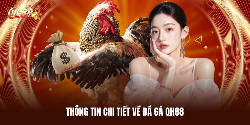 Đá Gà QH88 - Trải Nghiệm Cá Cược Chọi Kê Đỉnh Cao Nhất 1 Thông Tin Chi Tiết Về Đá Gà QH88