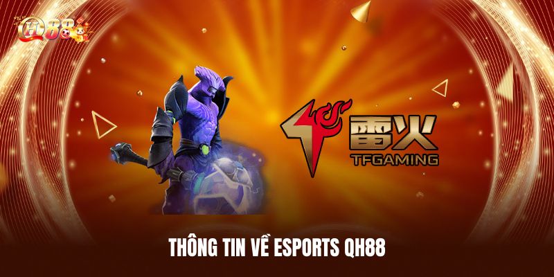 Thông Tin Về Esports QH88