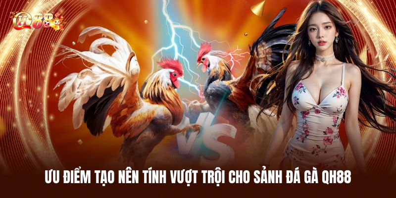 Đá Gà QH88 - Trải Nghiệm Cá Cược Chọi Kê Đỉnh Cao Nhất 2 Ưu Điểm Tạo Nên Tính Vượt Trội Cho Sảnh Đá Gà QH88